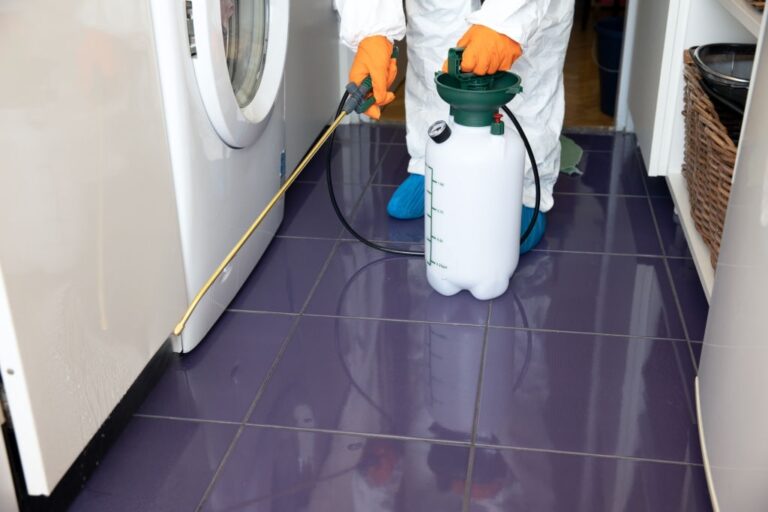 pest control 25 768x512