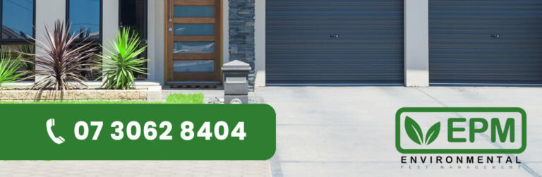 pest control brisbane banner 768x251