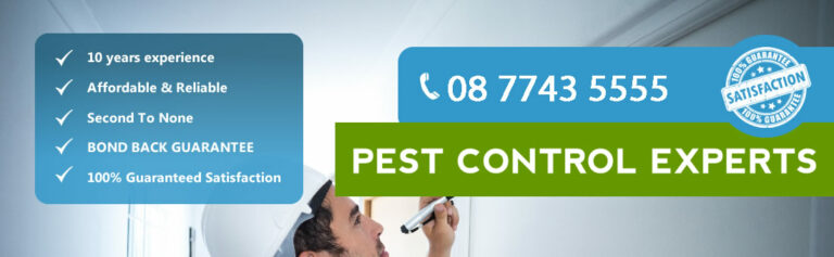 pro pest control adelaide banner 768x237