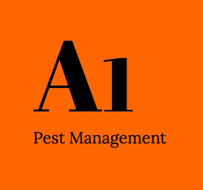 termite pest control North Brisbane