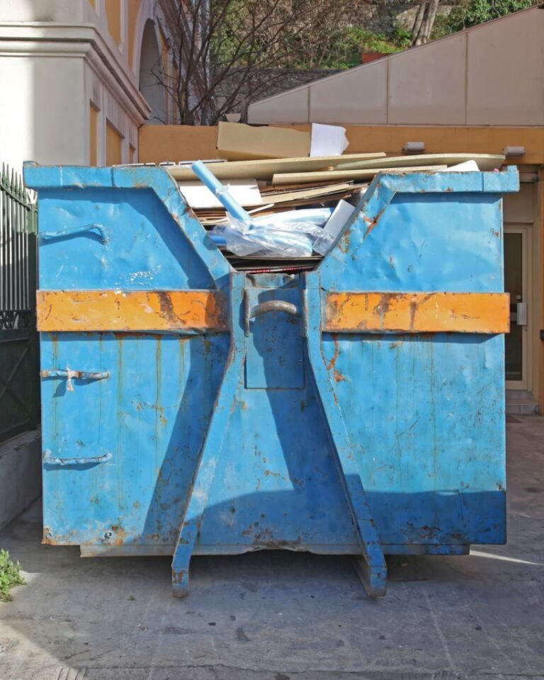 Blue Skip Container for Refuse Waste Garbage 768x960