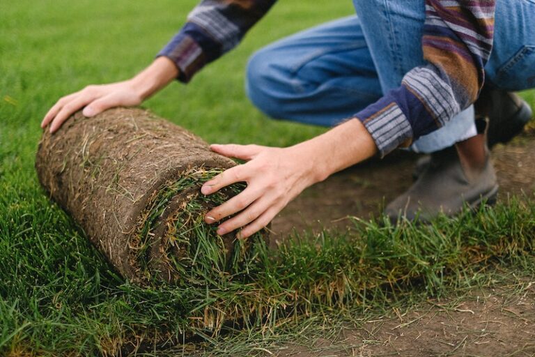 Lawn Mowing and Turf Installation Sunshine Coast 768x512