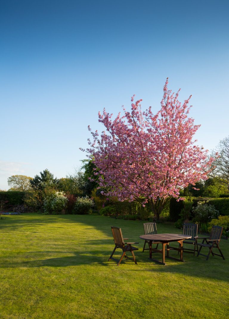 cheap lawn mowing sunshine coast 768x1071