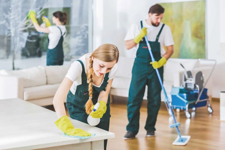 Spring Cleaning Glen Iris 768x512