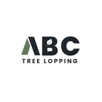 abc tree lopping brisbane square