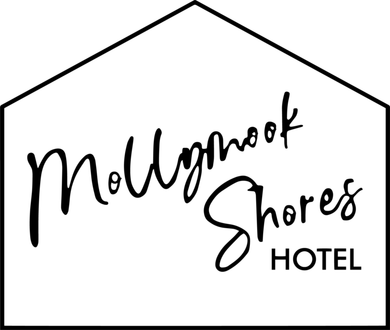 popup logo 2048x1736 1 768x651