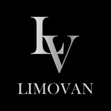 Limovan Small Party Bus Hire Perth