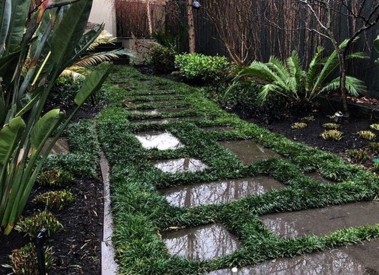 New Dwarf Mondo Bluestone 768x557