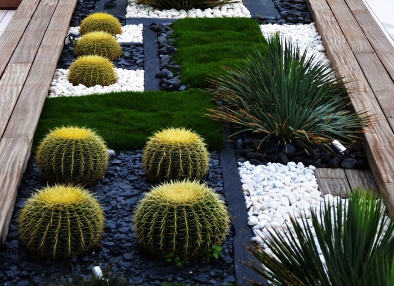New Zoysia Rooftop 768x557