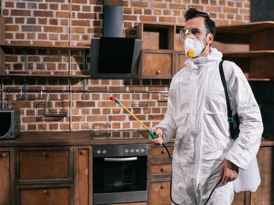 building inspections brisbane 03 1