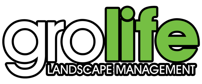 grolife landscape 768x320