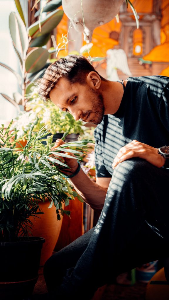 grolife plant sitting