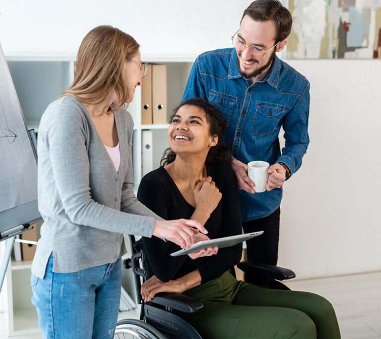 what is ndis 01 768x684