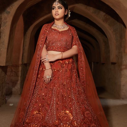 woman in traditional indian dress and jewelry