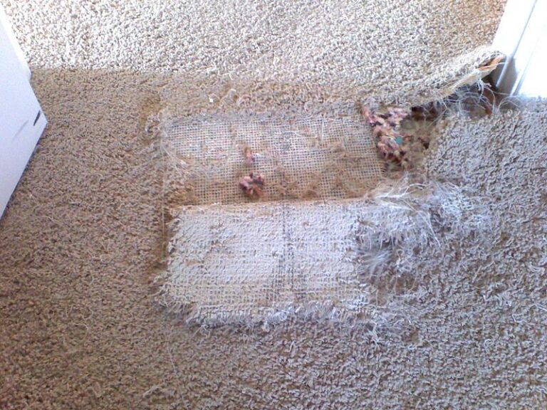Carpet Repair Brisbane 768x576