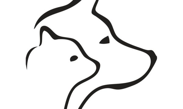 Yarrambat Kennels